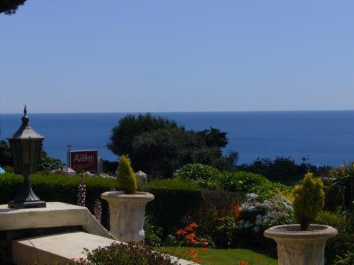 Porth Avallen Hotel St Austell Eksteriør billede